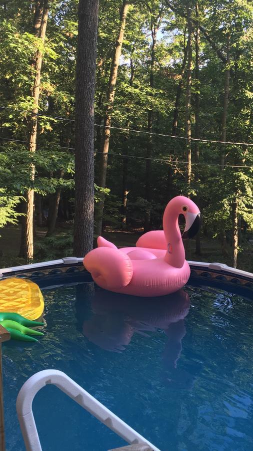 Pocono Cabin With Private Pool At Shawnee Mtn 东斯特劳兹堡 外观 照片